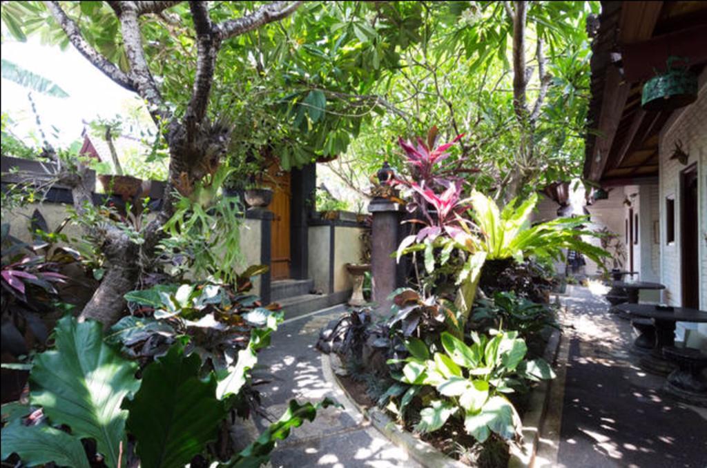 New Danas Canggu Guest House Kerobokan  Ngoại thất bức ảnh